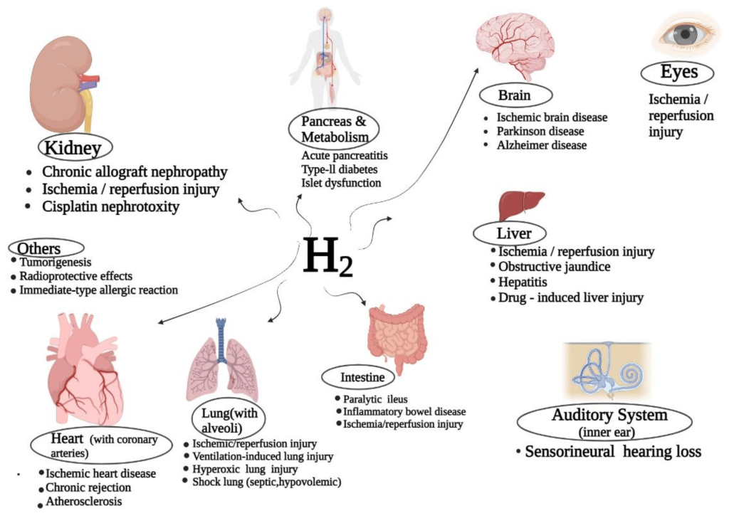 benefits of Inhaling Hydrogen Gas